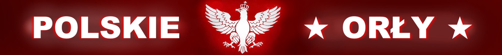 Klan POLSKIE ORŁY - World of Tanks EU